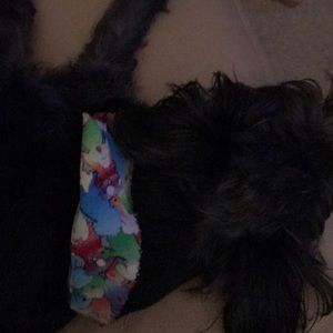 Meet your Posher, Jan